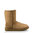 UGG// W CLASSIC SHORT II / CHESNUT OI17