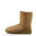 UGG// W CLASSIC SHORT II / CHESNUT OI17