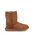 UGG // CLASSIC II / CHESTNUT - ::