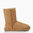 UGG // CLASSIC SHORT / CHESTNUT - ::