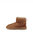 UGG // CLASSIC II K / CHESTNUT - ::