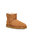 UGG // M CLASSIC MINI / CHESTNUT - ::