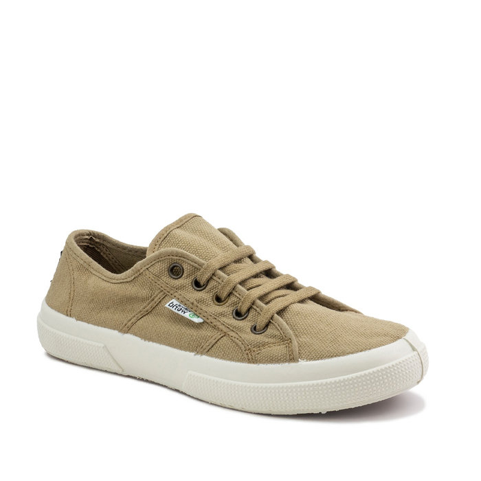 141901-CAMEL-1